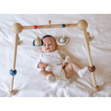 Baby Play Gym - Orchard