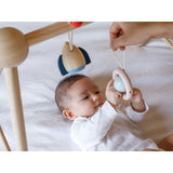 Baby Play Gym - Orchard
