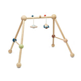 Baby Play Gym - Orchard