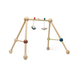 Baby Play Gym - Orchard