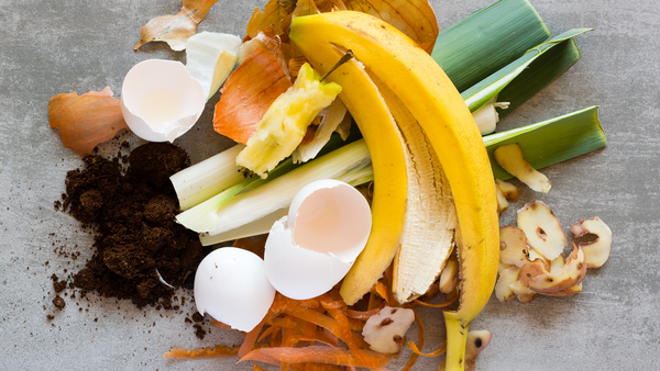 Composting 101: Why and How to Get Started