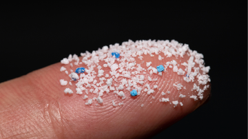 The Hidden Dangers of Microplastics