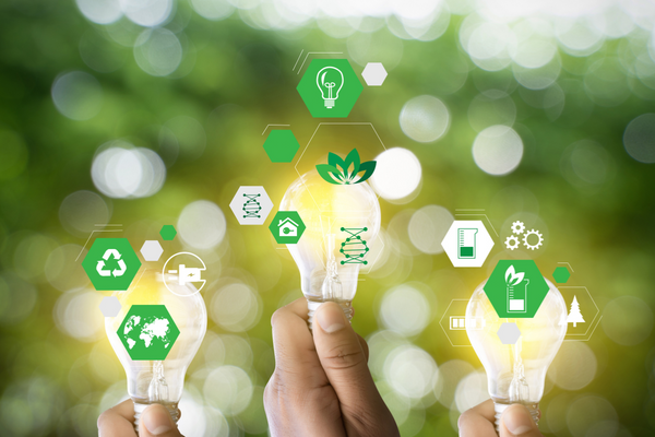 What Makes a Product Truly Sustainable?