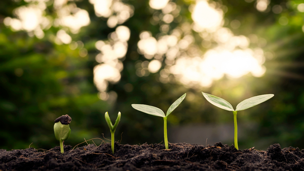 Why Sustainability Is a Journey, Not a Destination