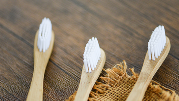Bamboo Toothbrush Benefits