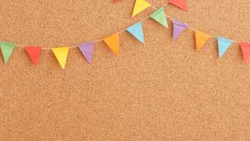 Cork and Its Sustainability Features