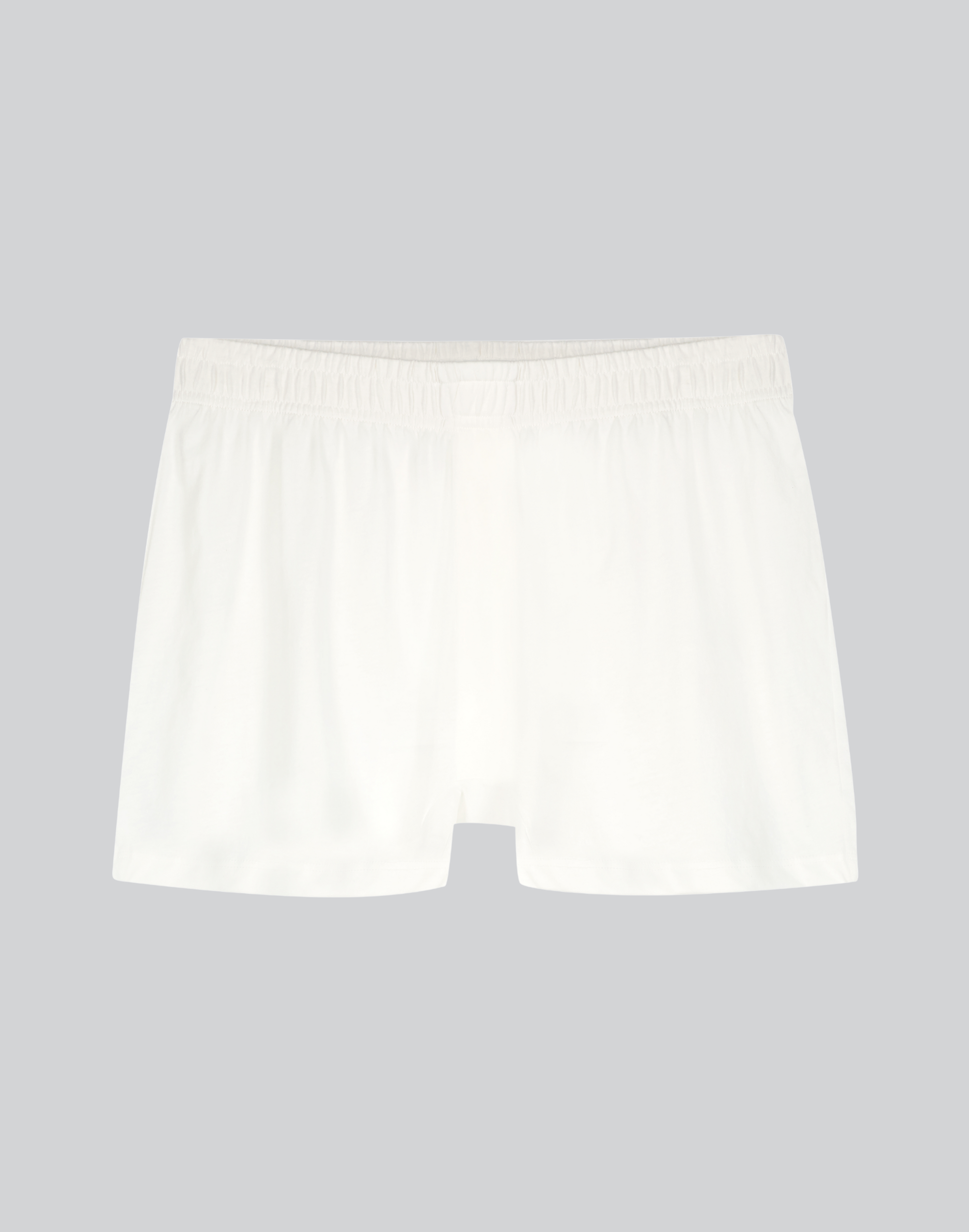 Men's Compostable Organic Cotton Brief (4 Color Options)