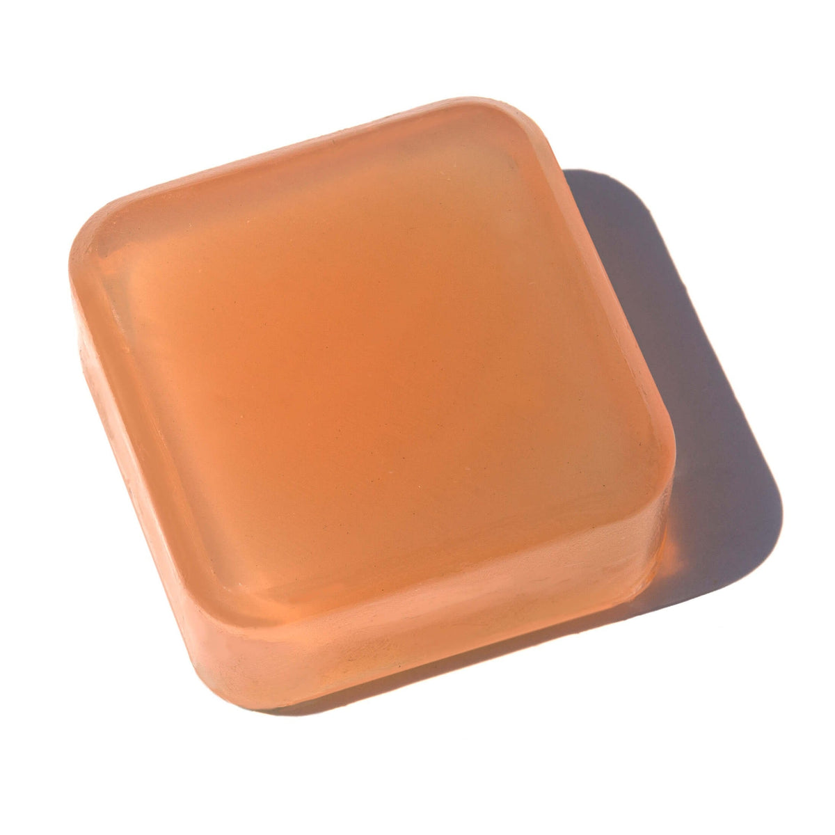 OASIS Protection Starter Kit