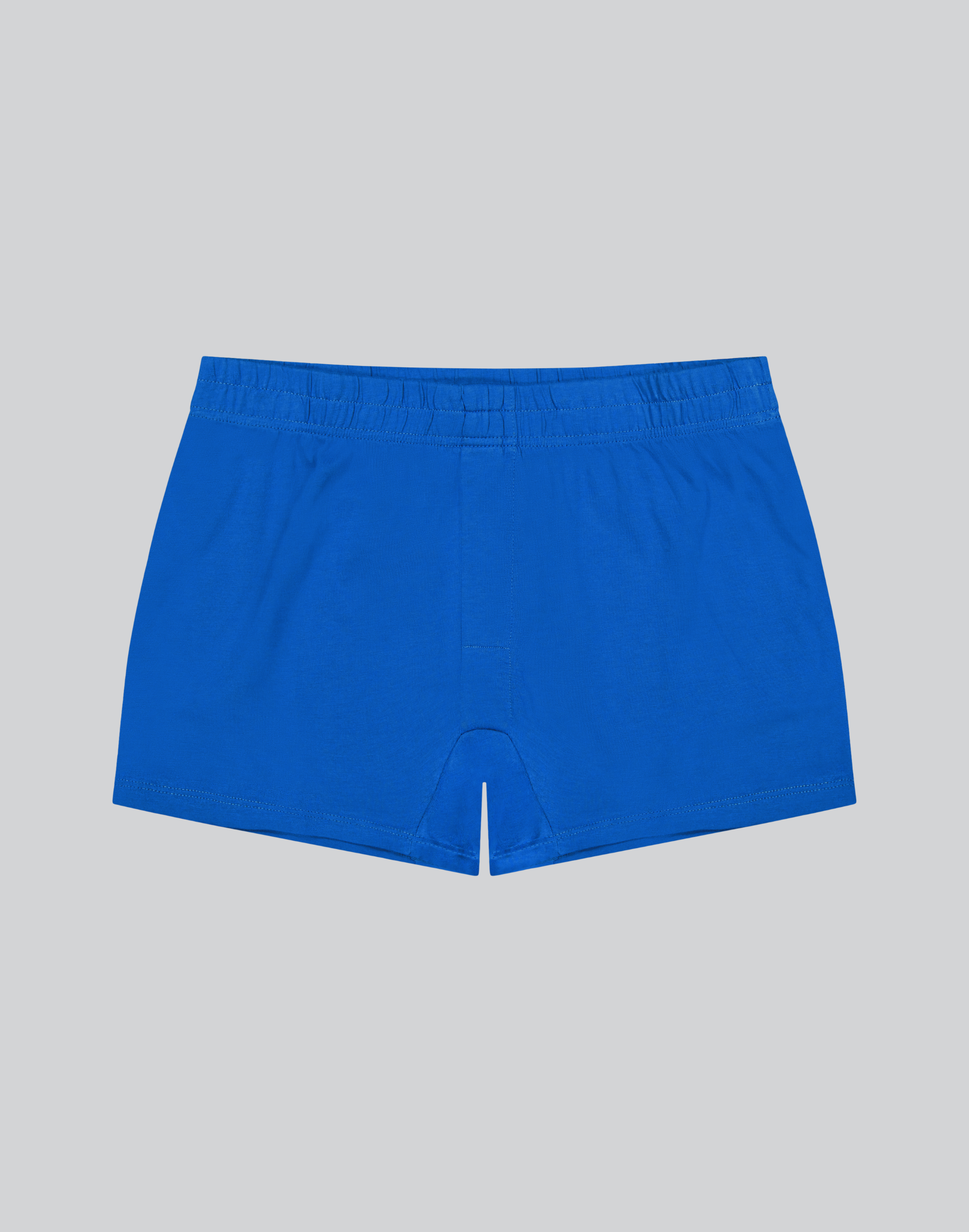 Men's Compostable Organic Cotton Brief (4 Color Options)