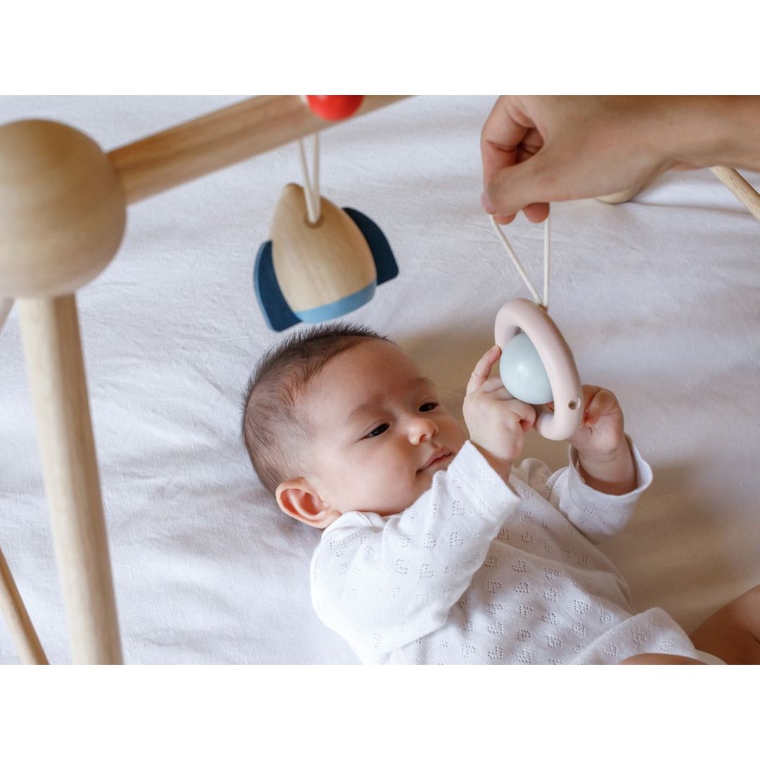 Baby Play Gym - Orchard