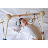 Baby Play Gym - Orchard