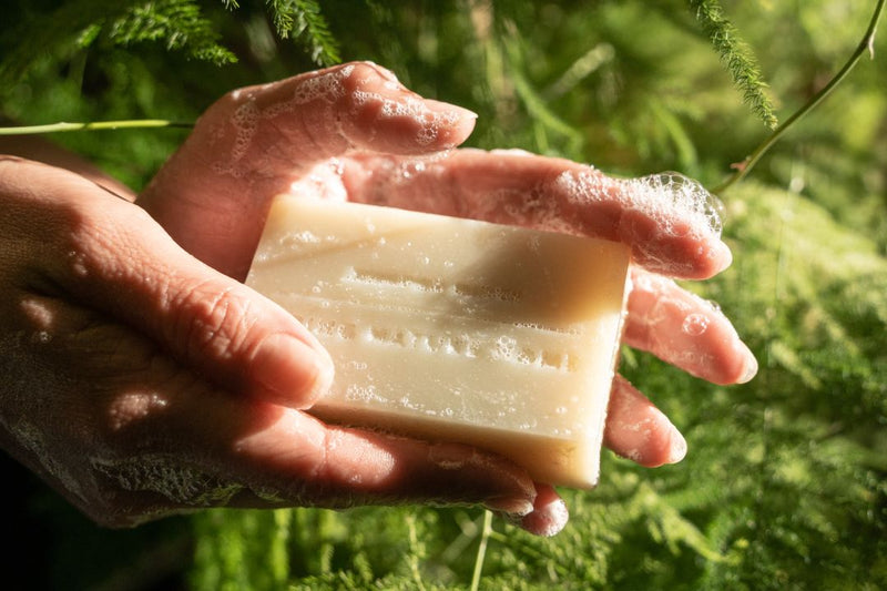 Juniper Ridge Bar Soap - Redwood Mist