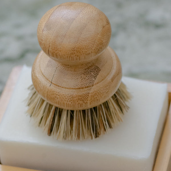 CASA AGAVE® Dish Brush