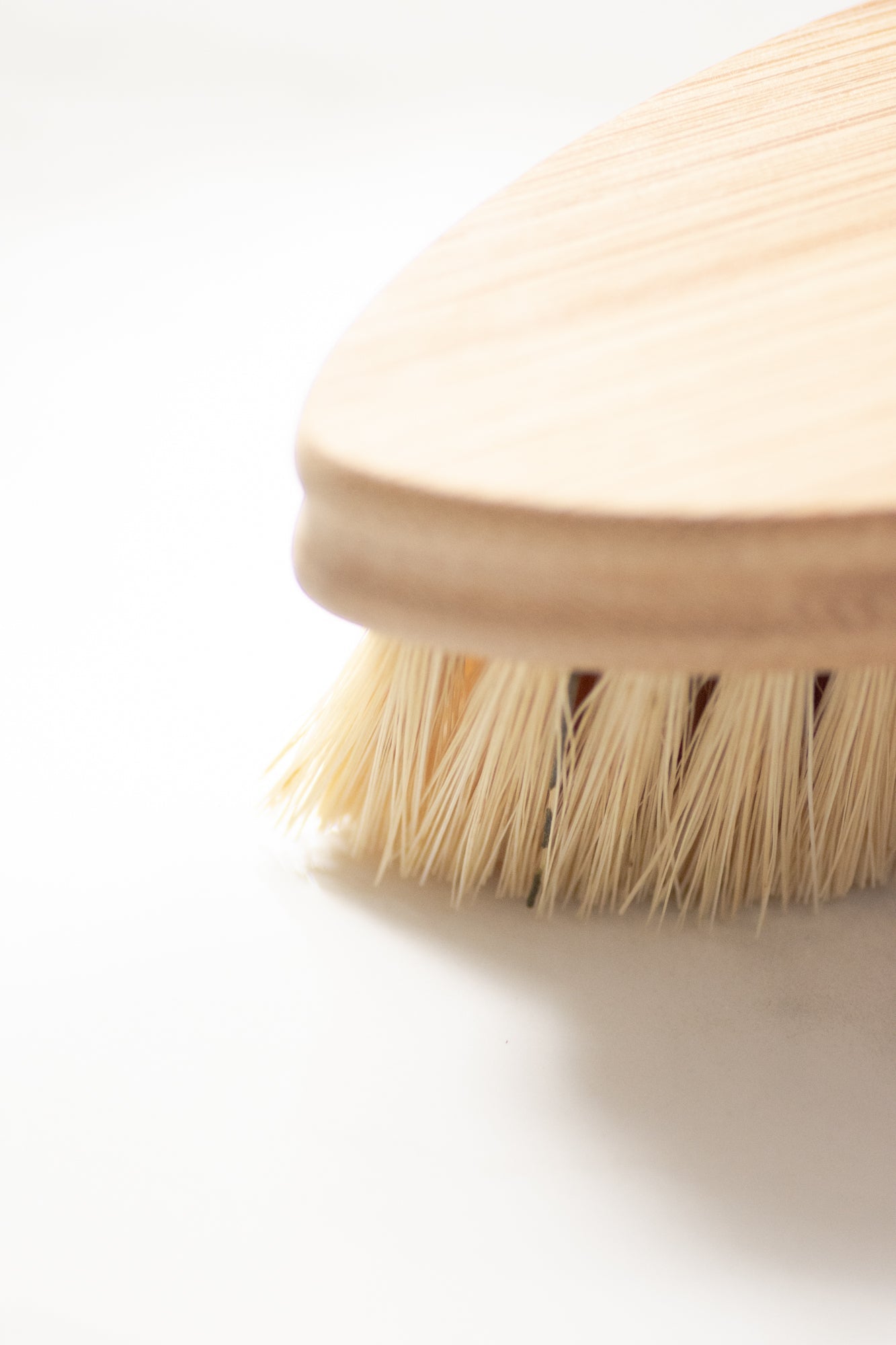 CASA AGAVE® Duo Tone Vegetable Brush