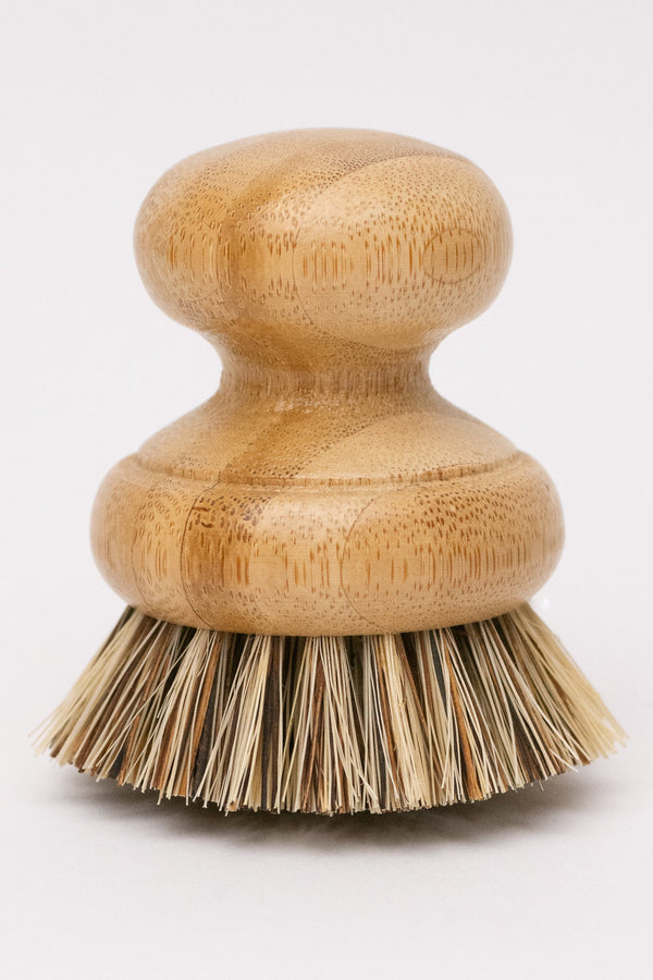 CASA AGAVE® Dish Brush