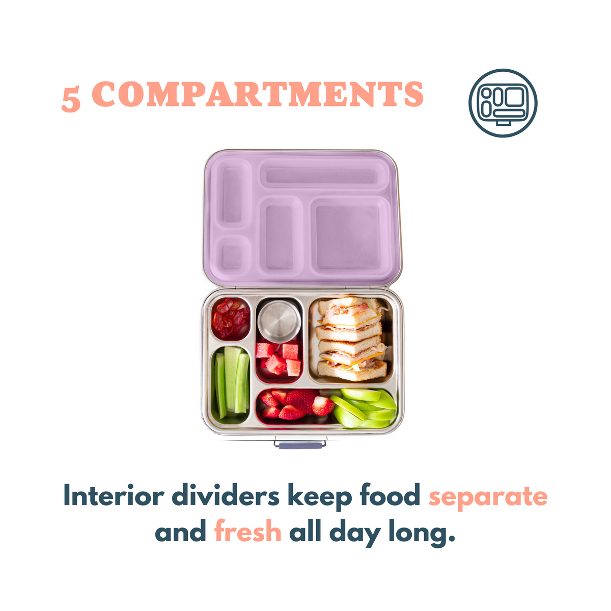 The Explorer™ Bento Lunch Box