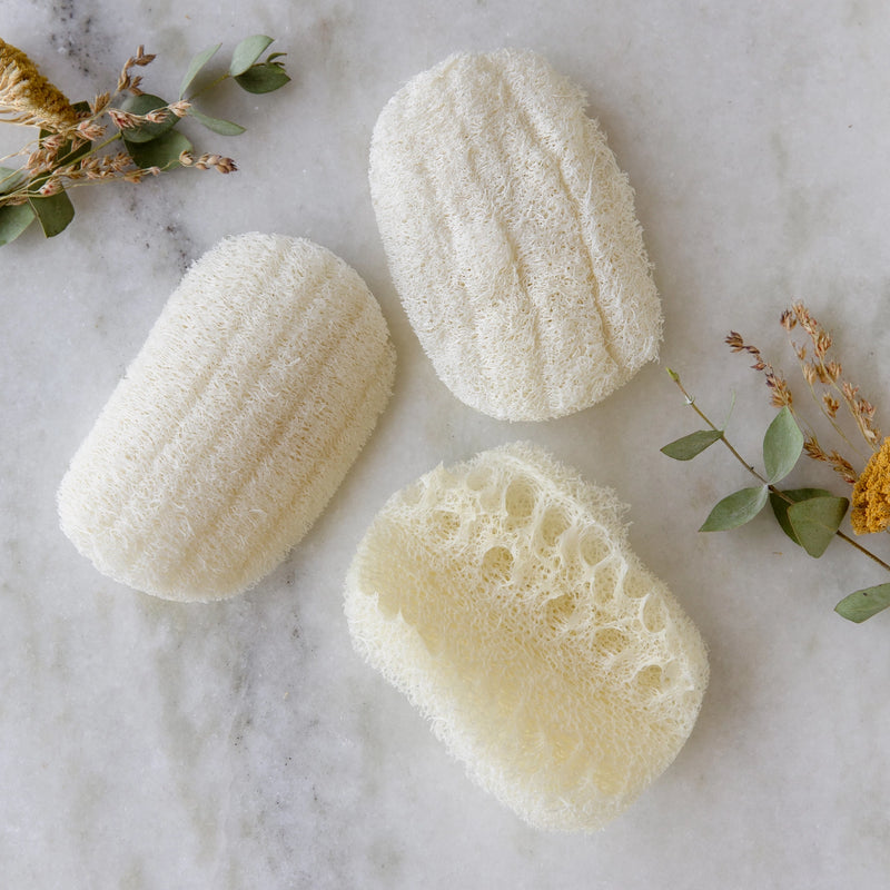 Compostable Dish Sponge 3-Pack