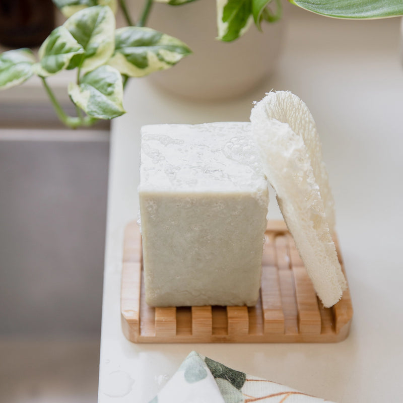 Compostable Dish Sponge 3-Pack