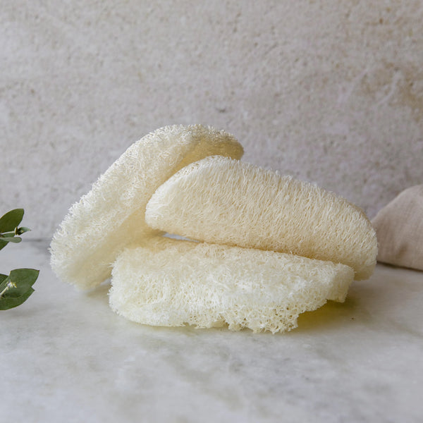 Compostable Dish Sponge 3-Pack
