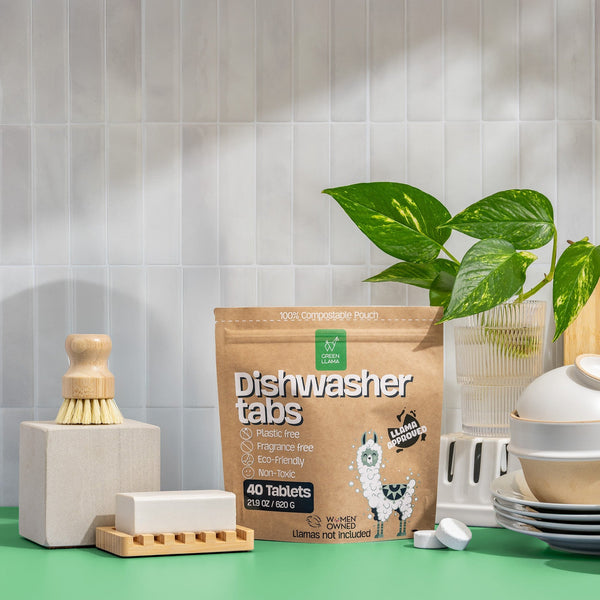 Dish Cleaning Starter Kit