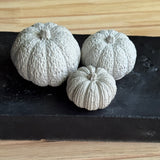 Set of 3 Pumpkins - Handmade Concrete Decor