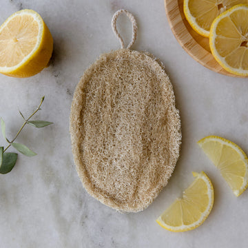 Double Layer Large Loofah Sponge