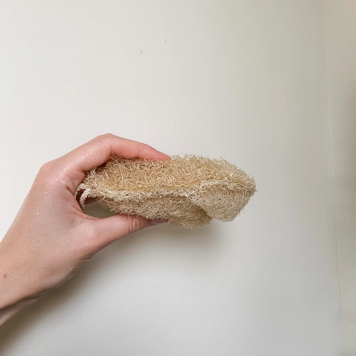 Double Layer Large Loofah Sponge