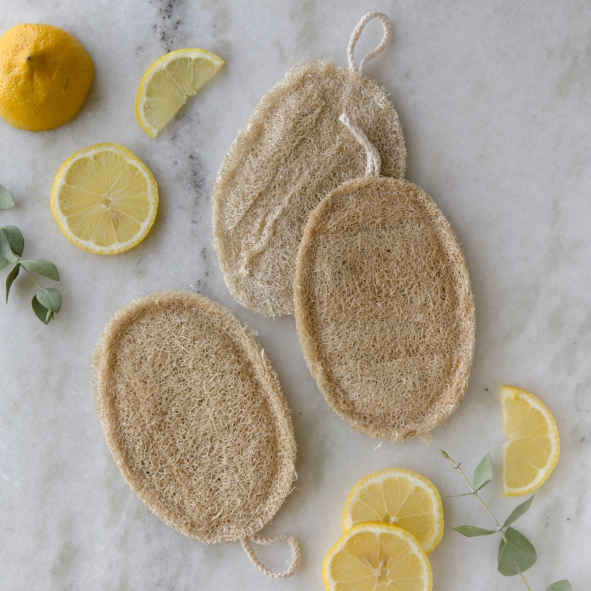 Double Layer Large Loofah Sponge