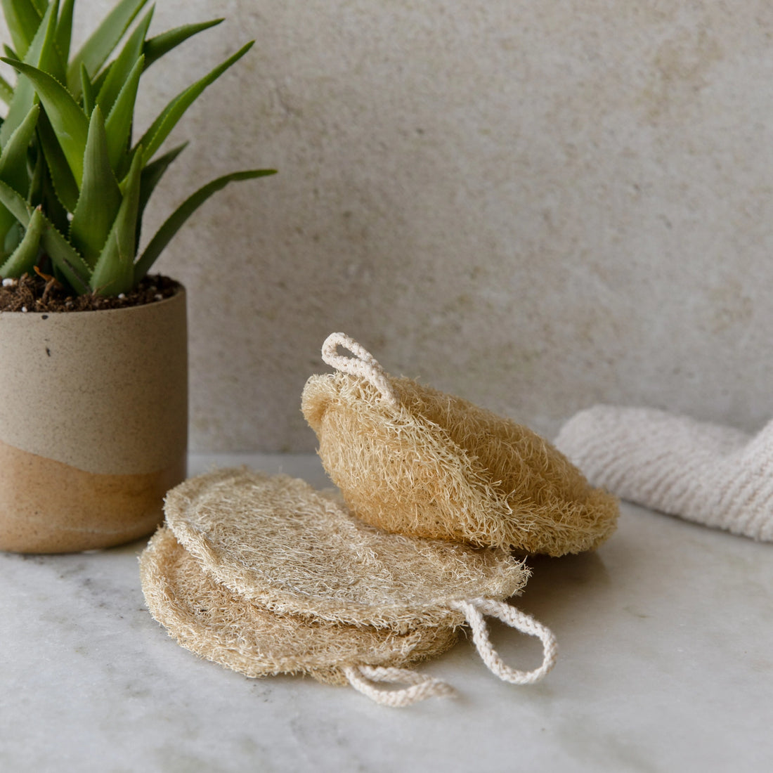 Double Layer Large Loofah Sponge