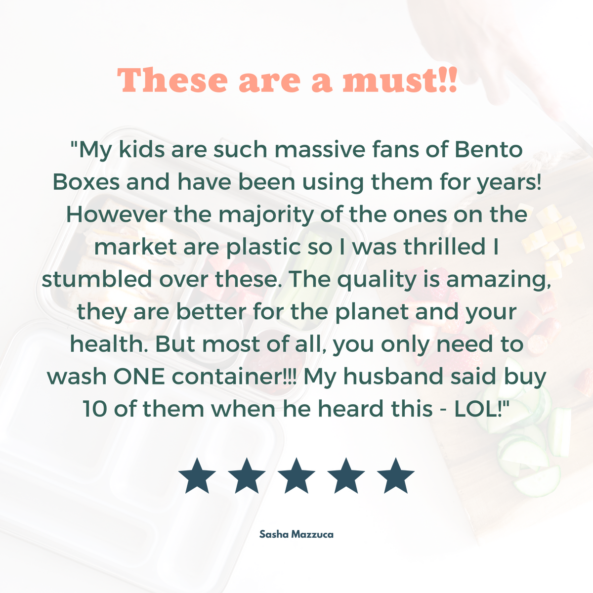 The Explorer™ Bento Lunch Box