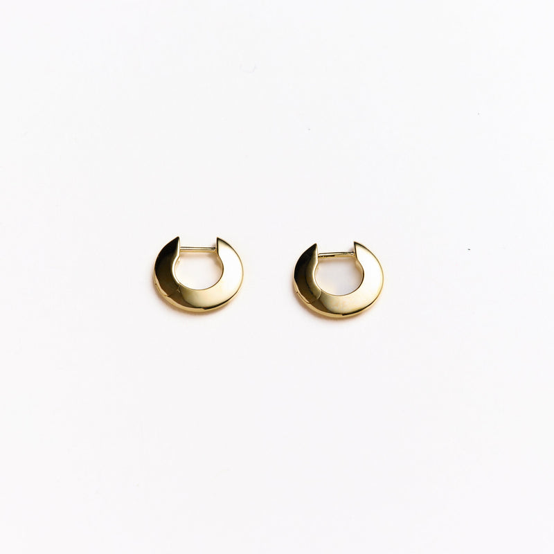 Talia Small Hoop Earrings