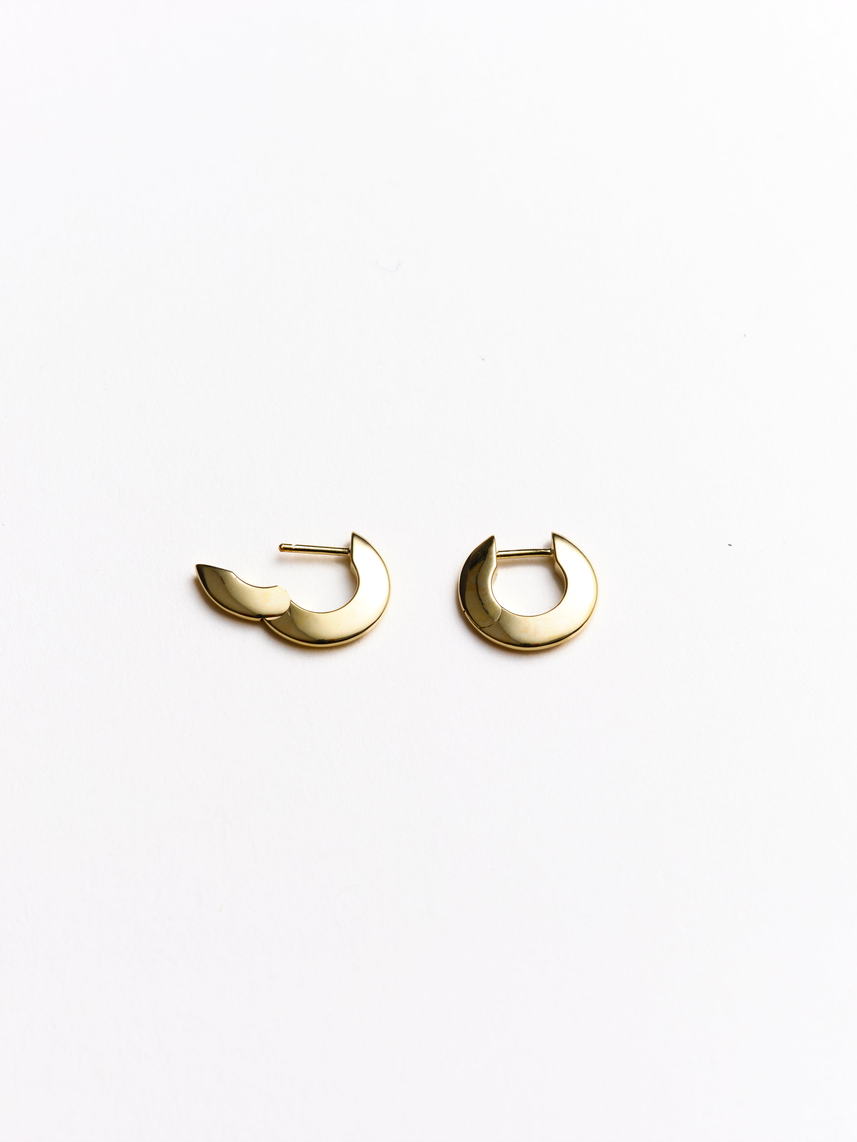 Talia Small Hoop Earrings