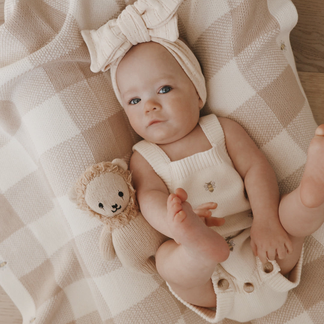 Busy Bee Gingham Baby Blanket