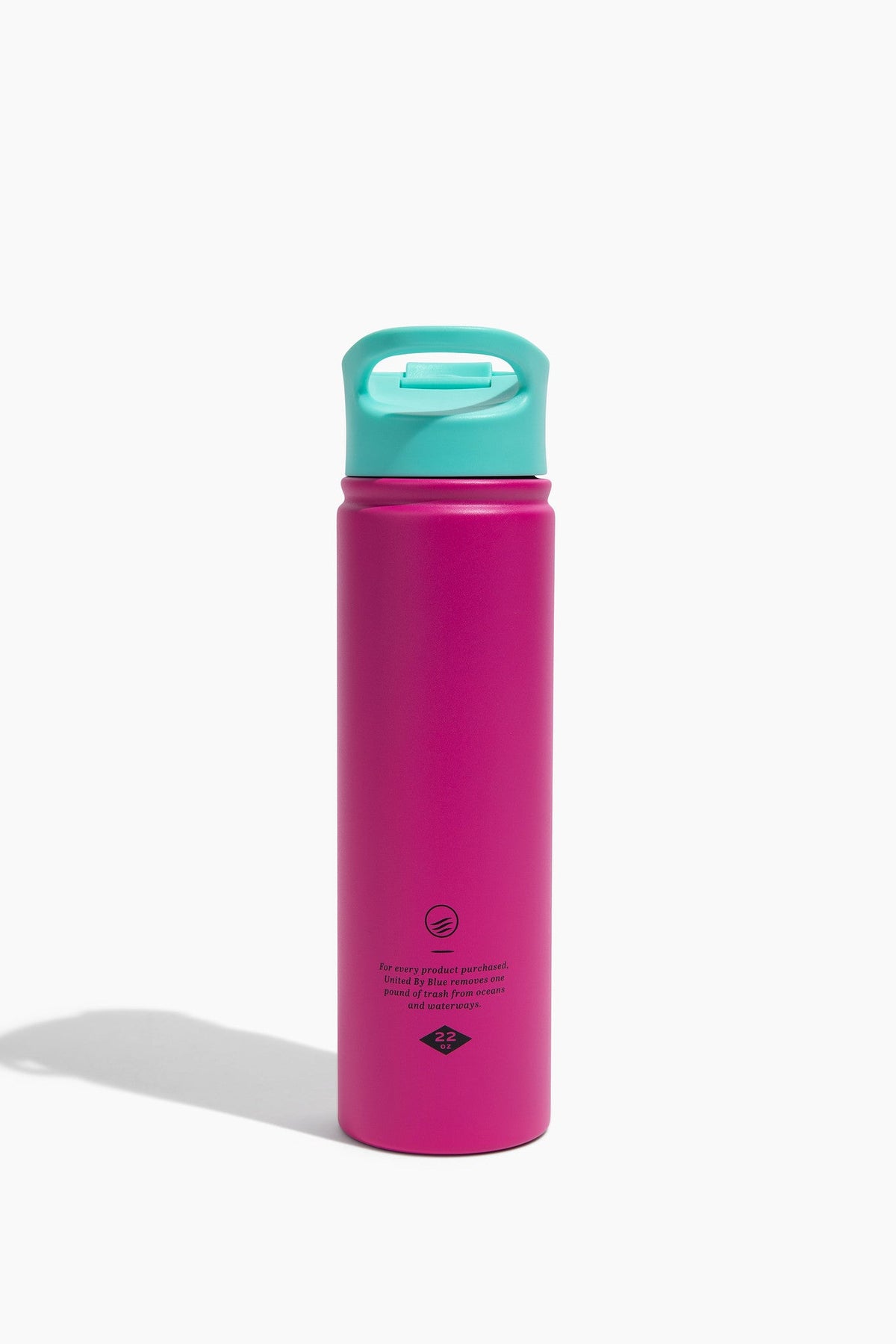 Insulated Stainless Steel Bottle - 22 Oz