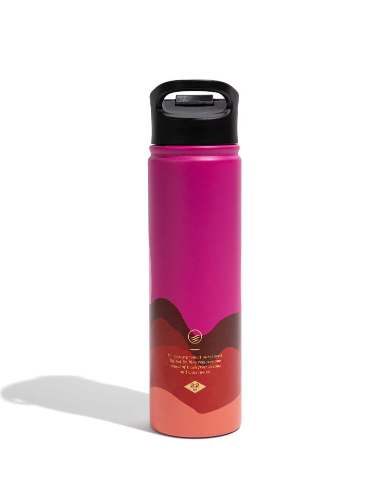 Insulated Stainless Steel Bottle - 22 Oz