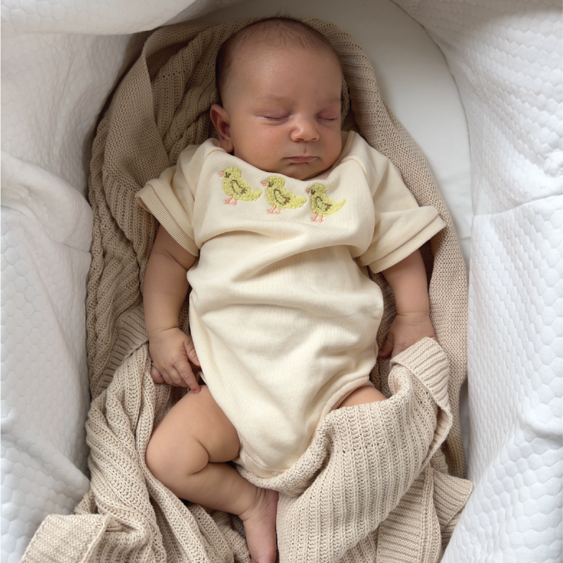 3 Little Ducks Bubble Romper