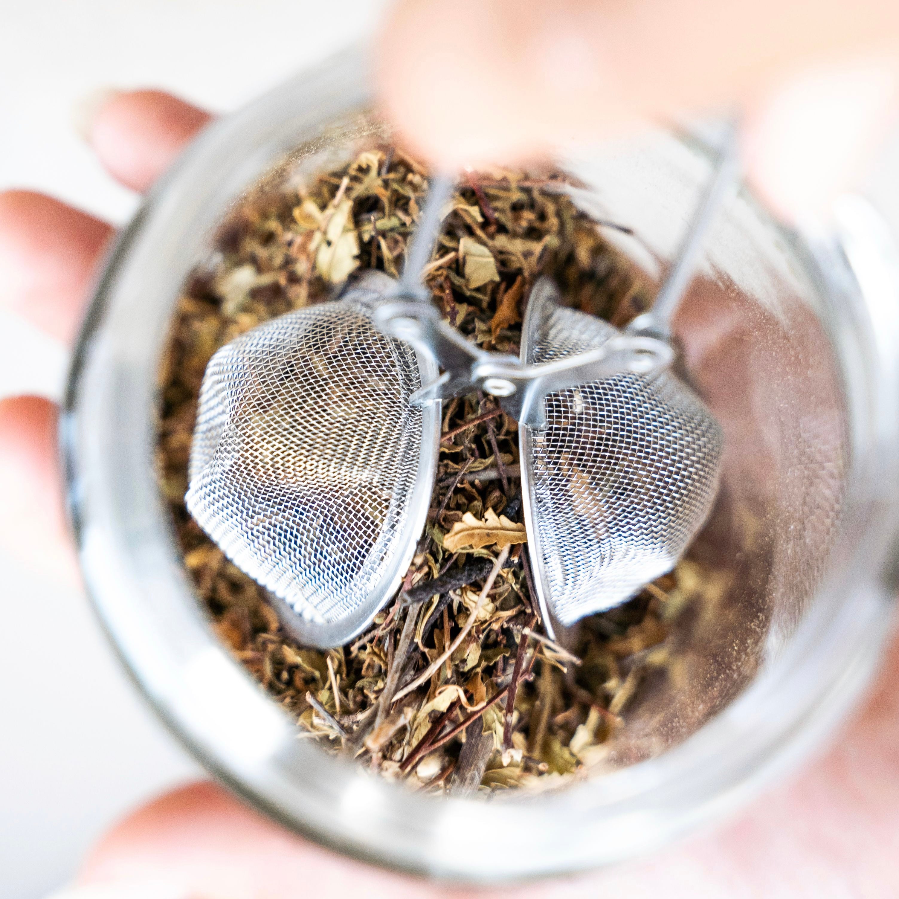 Stainless Steel Mesh Tea Infuser – Plastic Free Pursuit