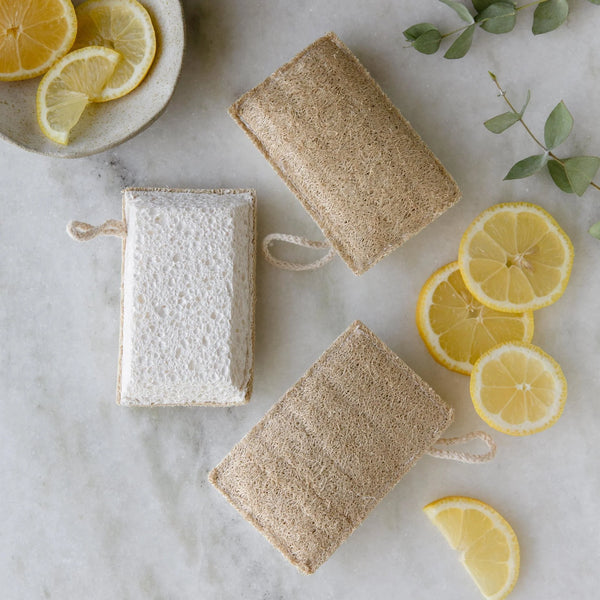 Loofah + Cellulose Cleaning Sponge