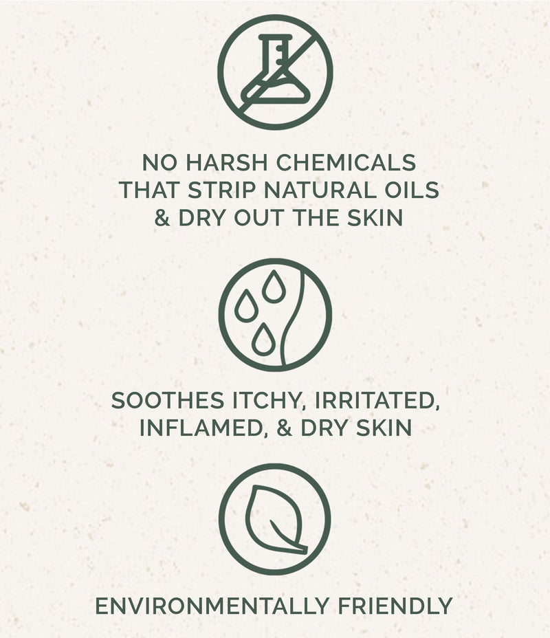 Dog Shampoo: Honey & Oats