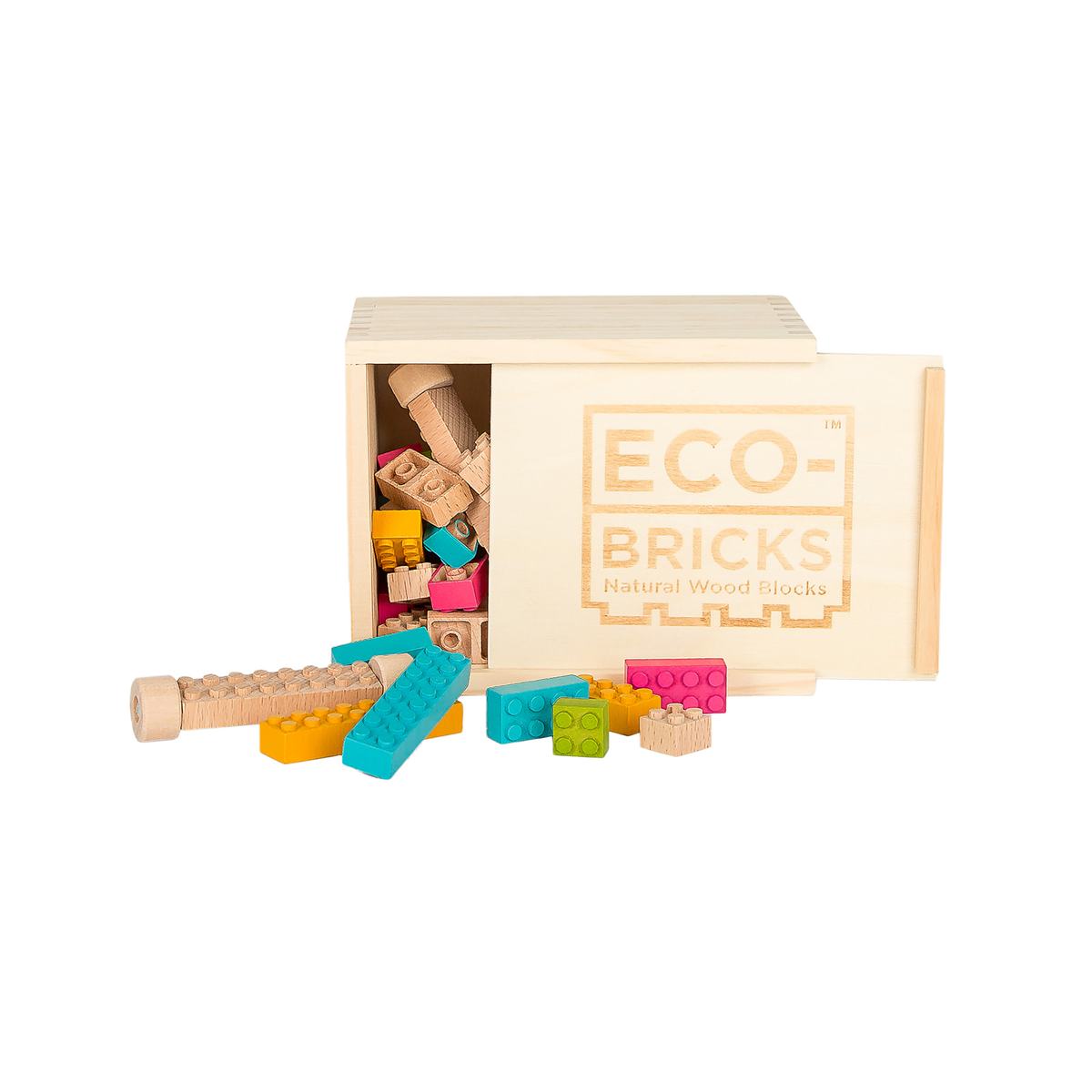 Colored Eco Bricks - 54 Pieces