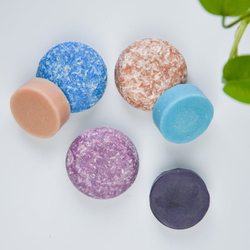 Earthy Shampoo and Conditioner Bar Collection