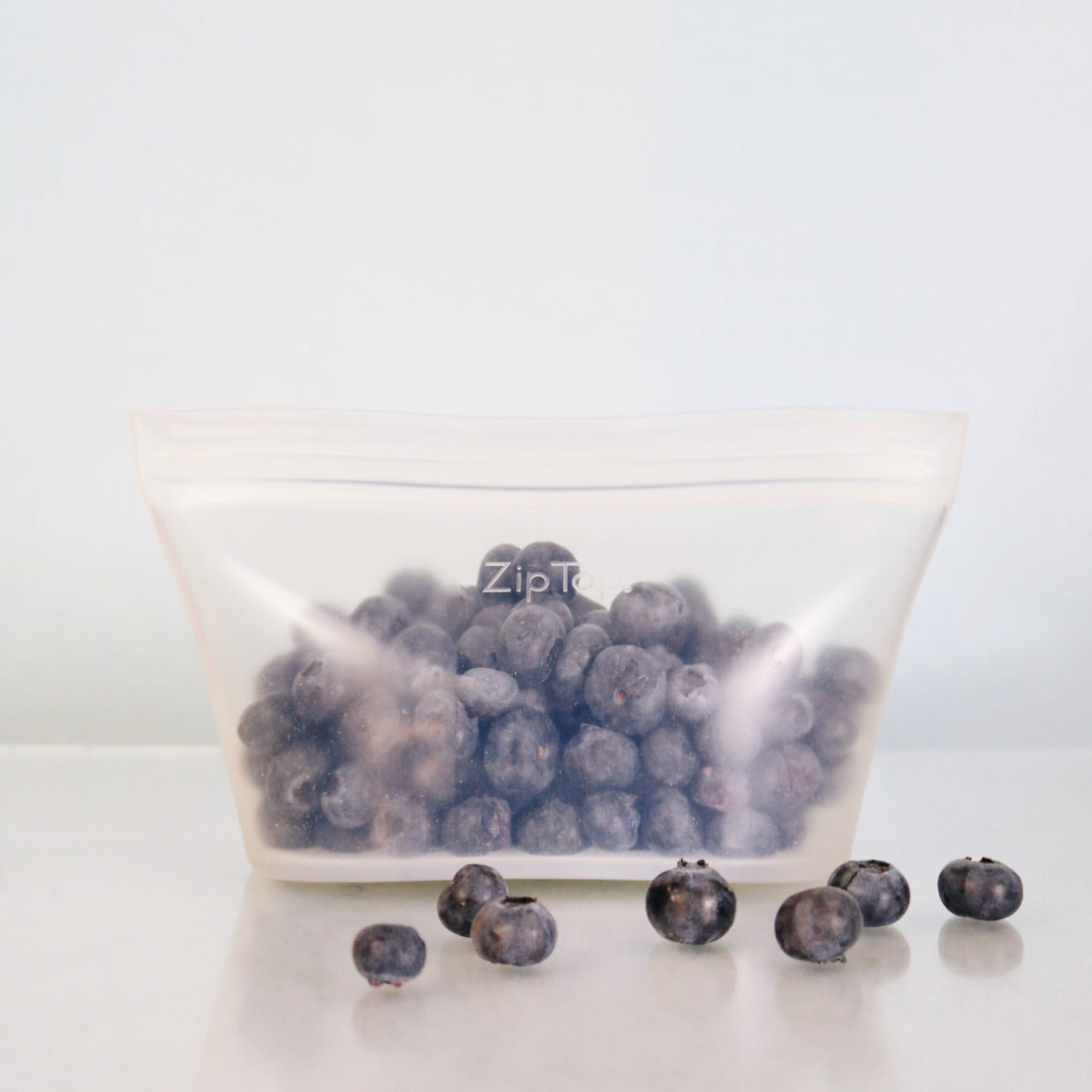 Zip Top Reusable Storage Dish