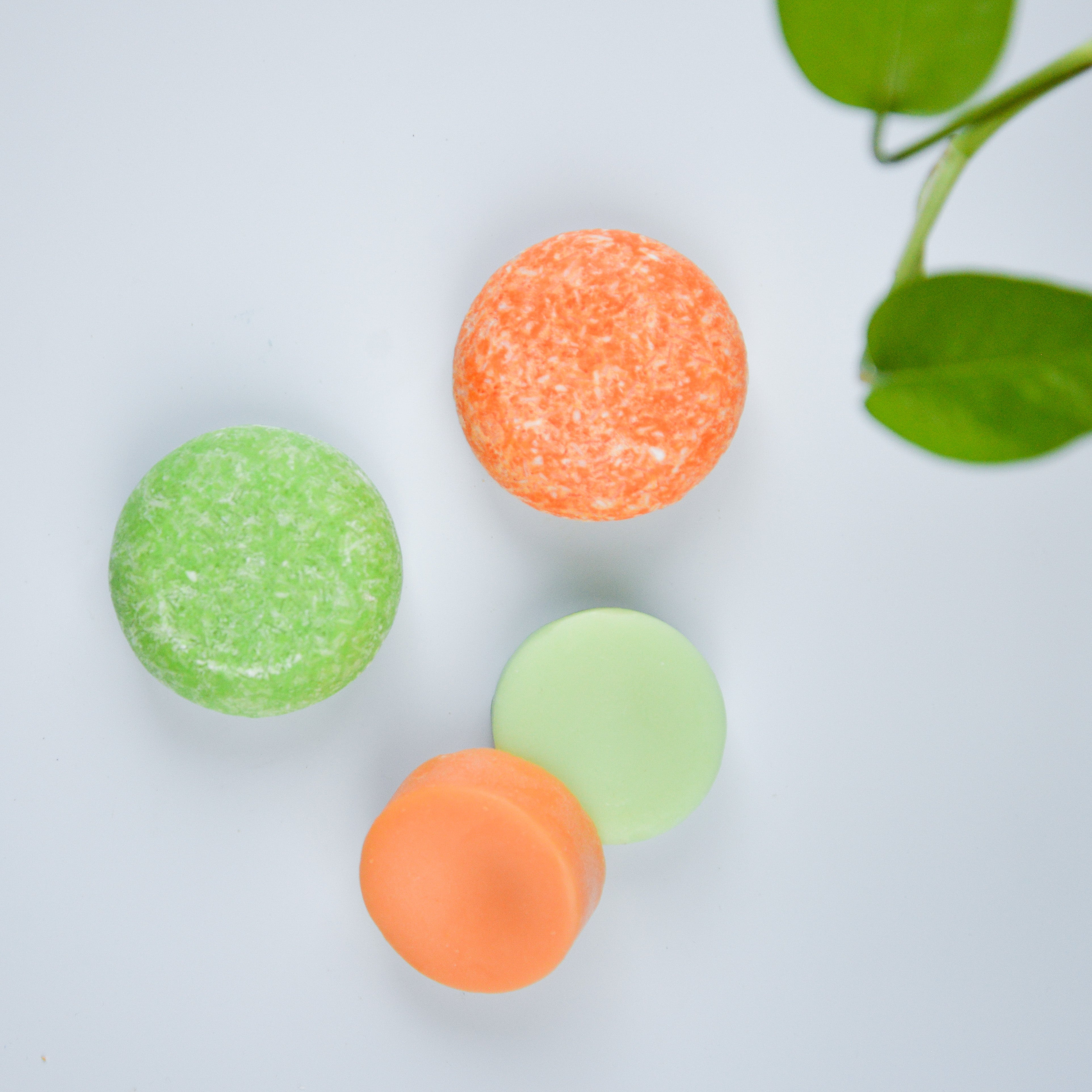 Fruity Shampoo and Conditioner Bar Collection