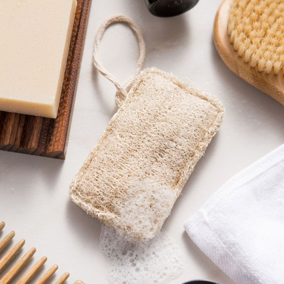 Loofah Sponge
